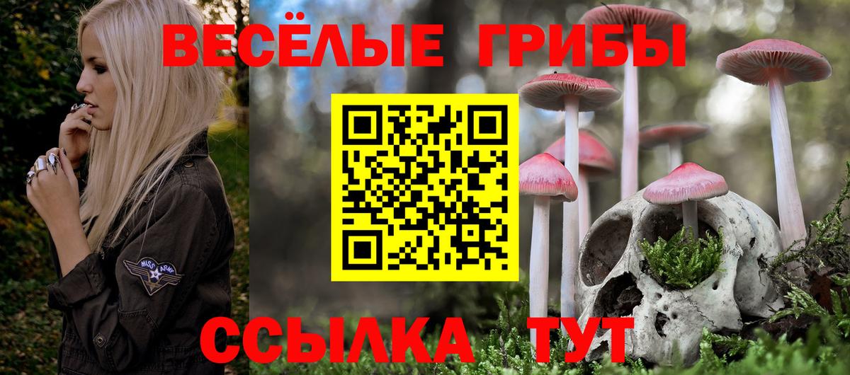 Псилоцибиновые грибы ЛСД  Вход с VPN  Альметьевск 