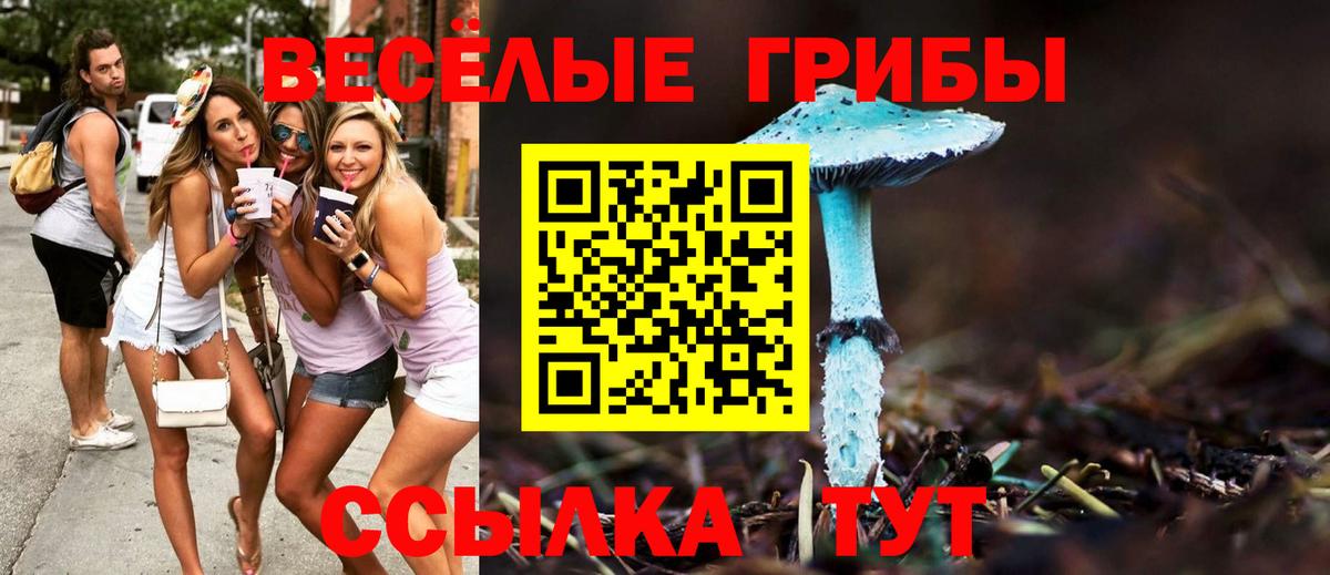 Галлюциногенные грибы MAGIC MUSHROOMS Альметьевск